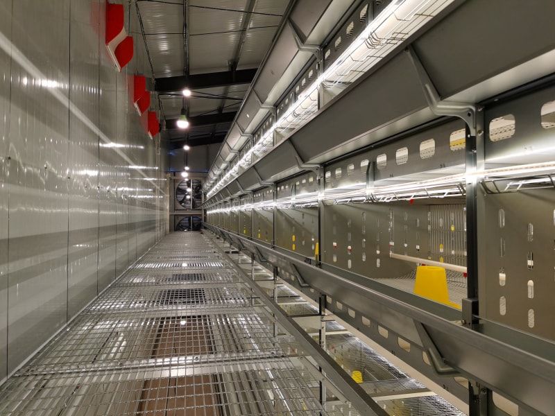 自動化養殖設備養雞需要規(guī)范的問題